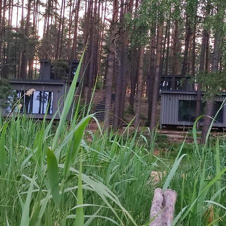 Gaujaclub - Our Bose And Bang&Olufsen Lofts On A Lake Gauja  المظهر الخارجي الصورة