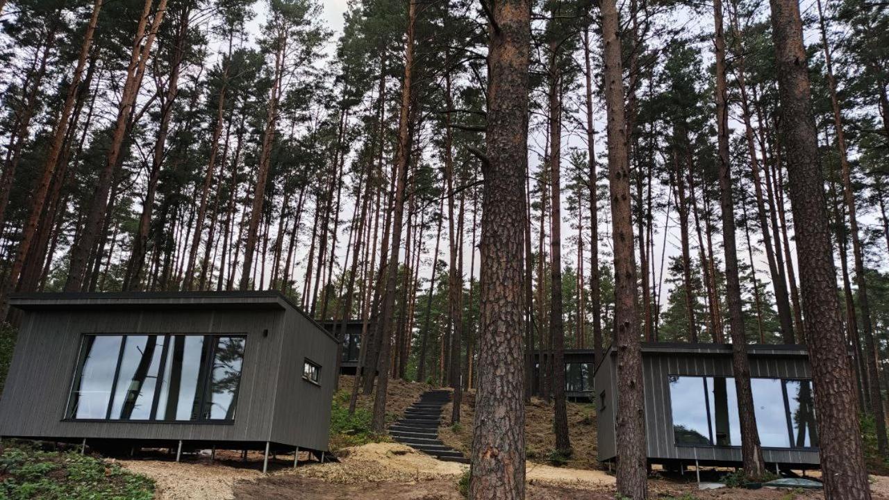 Gaujaclub - Our Bose And Bang&Olufsen Lofts On A Lake Gauja  المظهر الخارجي الصورة