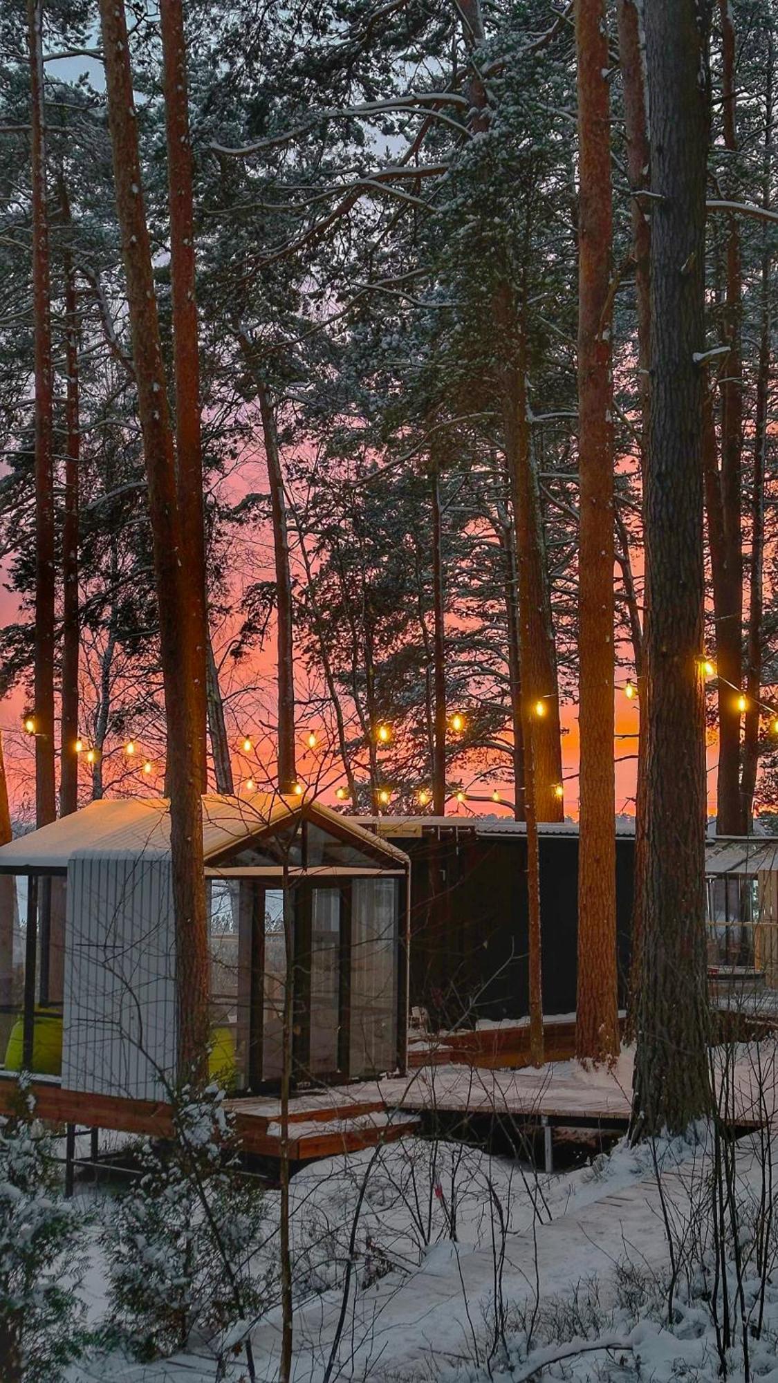 Gaujaclub - Our Bose And Bang&Olufsen Lofts On A Lake Gauja  المظهر الخارجي الصورة