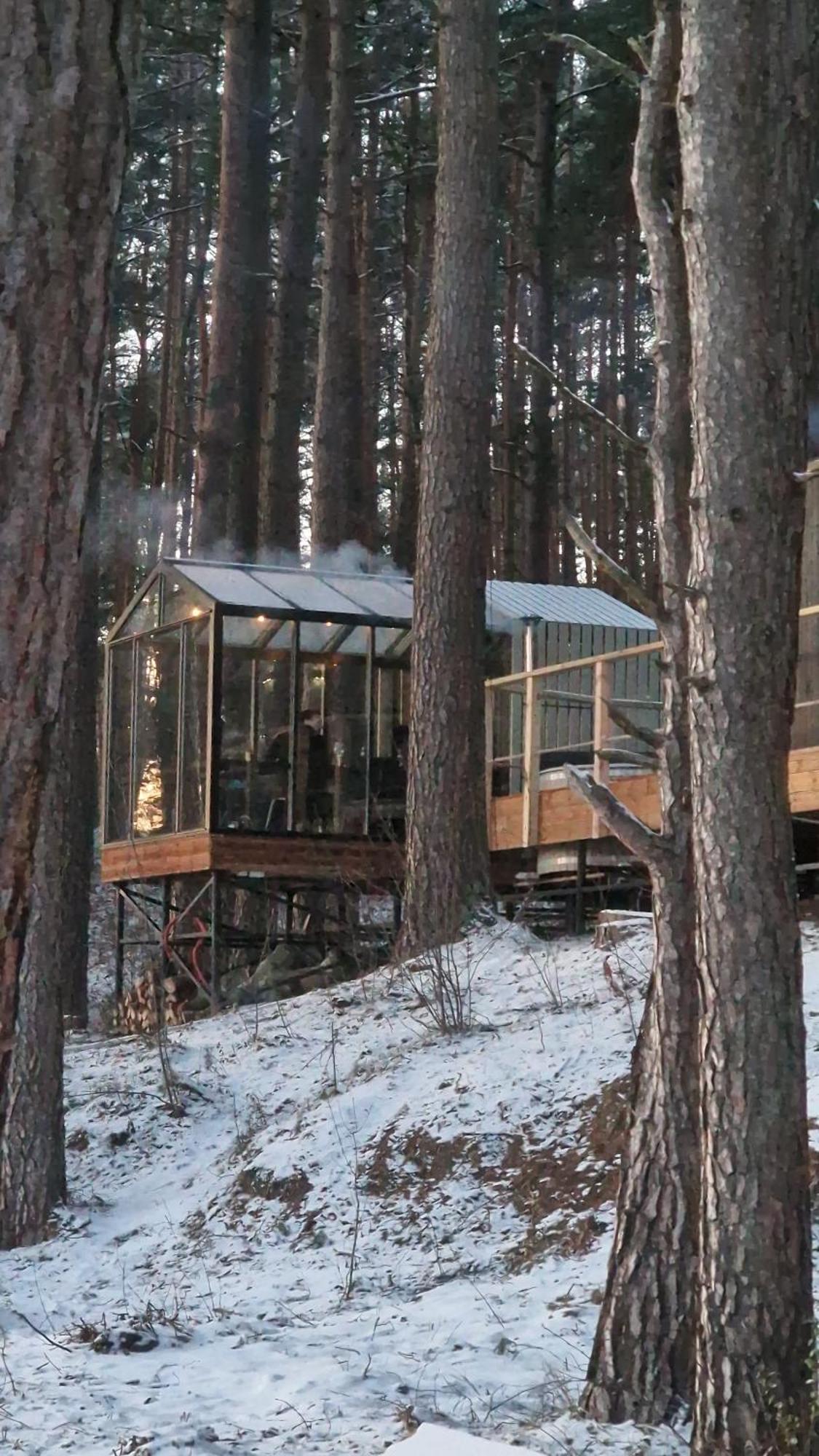 Gaujaclub - Our Bose And Bang&Olufsen Lofts On A Lake Gauja  المظهر الخارجي الصورة