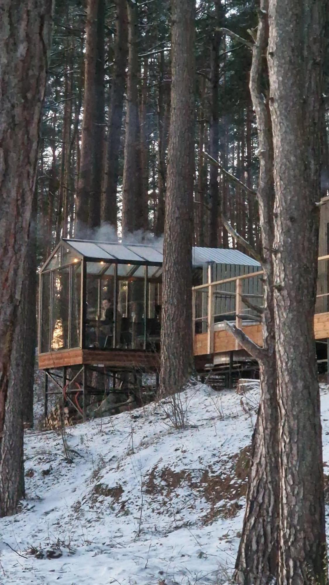 Gaujaclub - Our Bose And Bang&Olufsen Lofts On A Lake Gauja  المظهر الخارجي الصورة