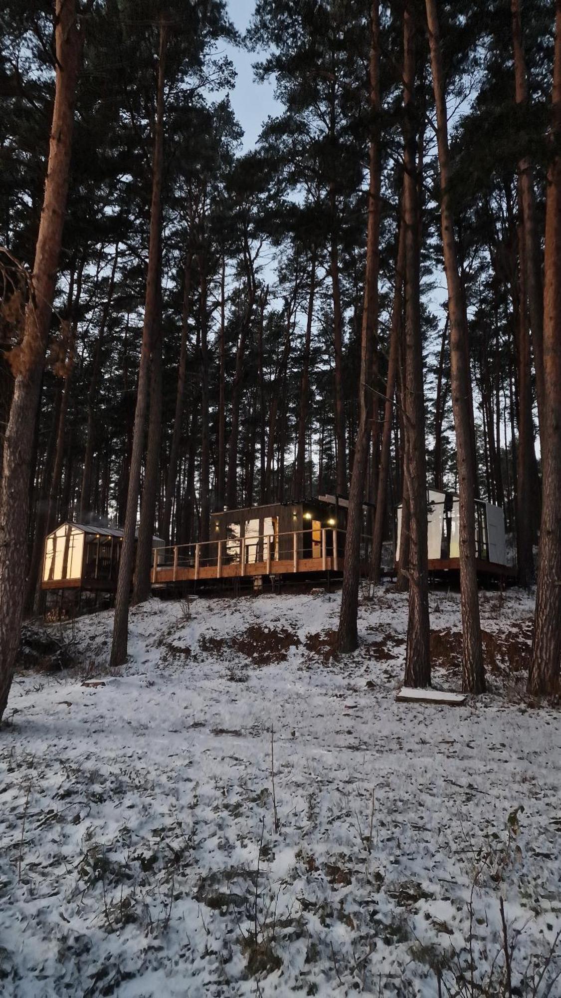 Gaujaclub - Our Bose And Bang&Olufsen Lofts On A Lake Gauja  المظهر الخارجي الصورة